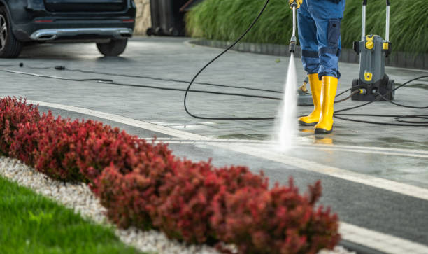 Best Roof Pressure Washing  in Warson Woods, MO